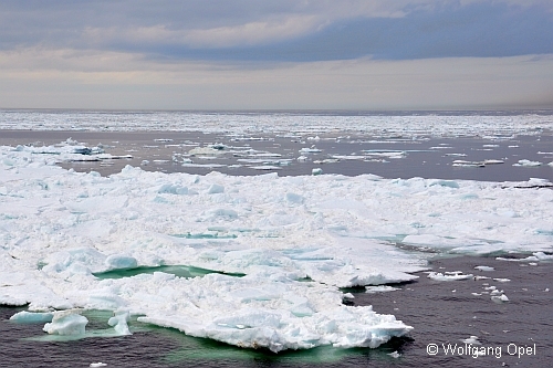 Im Eis der Arktis