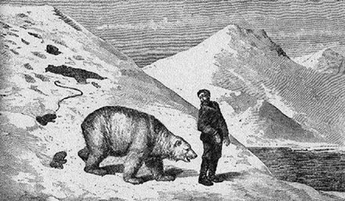 Julius von Payer: “Klentzer in Gesellschaft eines Bären“, Zeichnung.