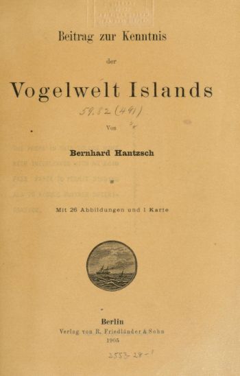 Hantzschs Abhandlung über die Vogelwelt Islands