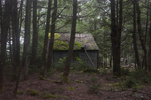 Überraschend finde ich eine versteckte Jagdhütte – Foto: © Ullrich Wannhoff