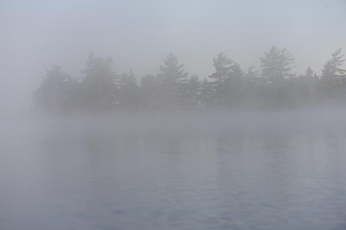 Insel im morgendlichen Nebel – Foto: © Ullrich Wannhoff
