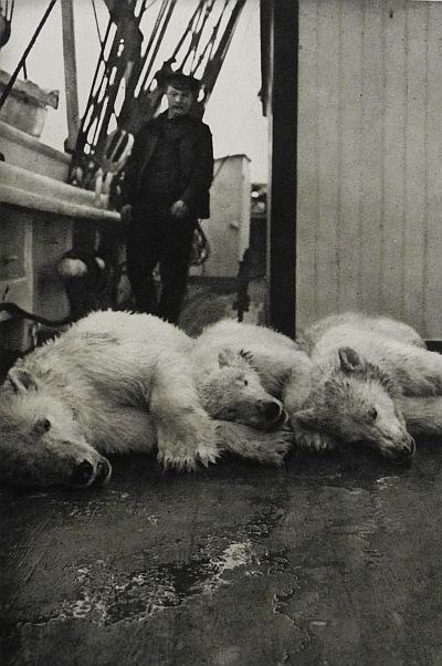 Rudolf Kmunke: Eisbärenjagd