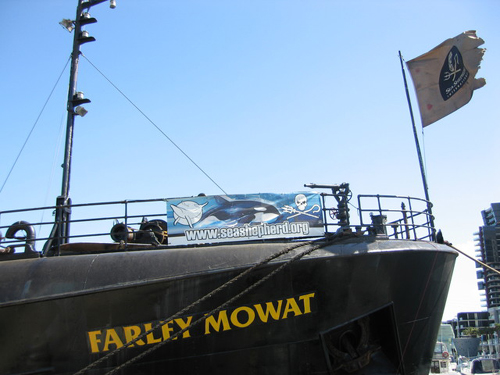 Schiff "Farley Mowat" – Foto by Adrian Tritschler