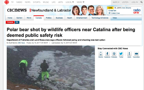 Eisbär bei Catalina erschossen – Nachrichten vom 10. April 2017