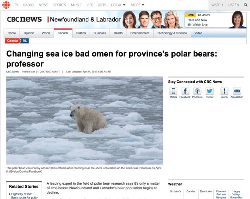 Wissenschaftler wird wegen der Eisbär-Sichtungen befragt
