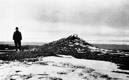 Steinmal an der Mercy Bay 1952 - Manning