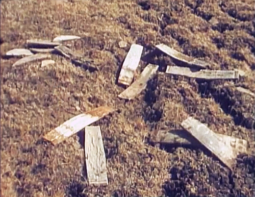 Fassdauben an der Mercy Bay - Milger