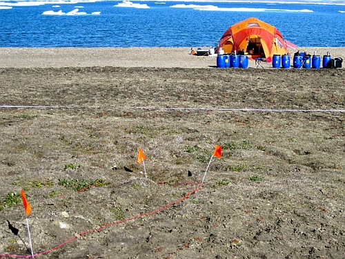 Grabmarkierung, © Parks Canada