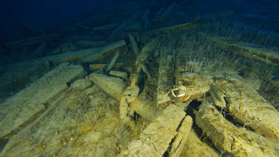 HMs Investigator debris and crab
© Parks Canada